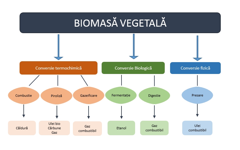 Biomasa