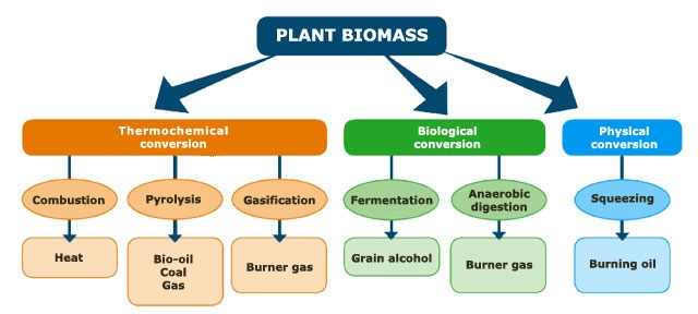 Biomass energy conversion