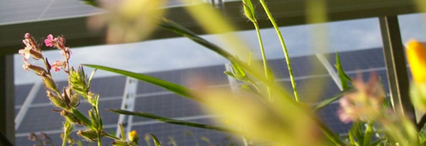 impianto fotovoltaico