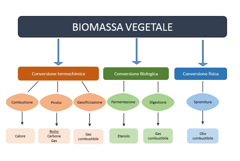 Biomasse